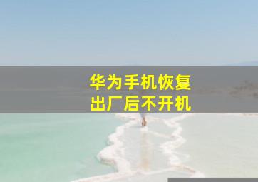 华为手机恢复出厂后不开机