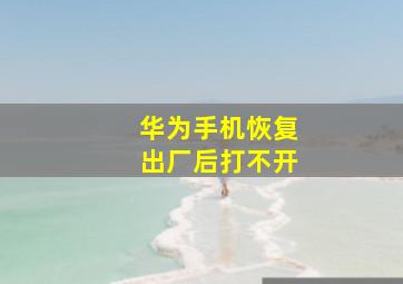 华为手机恢复出厂后打不开