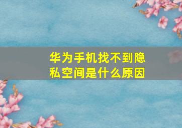 华为手机找不到隐私空间是什么原因