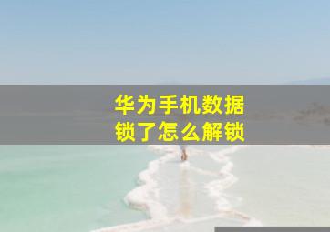 华为手机数据锁了怎么解锁