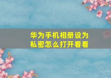 华为手机相册设为私密怎么打开看看