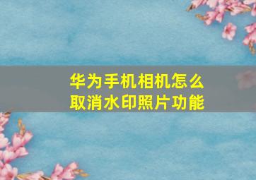 华为手机相机怎么取消水印照片功能