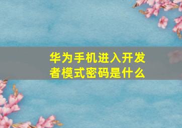 华为手机进入开发者模式密码是什么