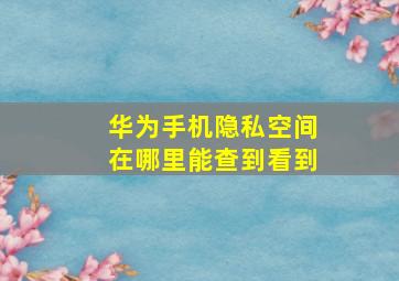 华为手机隐私空间在哪里能查到看到