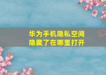 华为手机隐私空间隐藏了在哪里打开