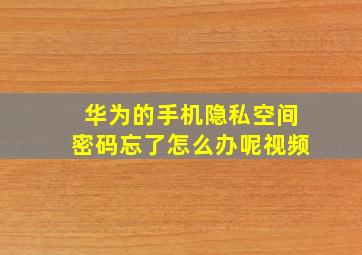 华为的手机隐私空间密码忘了怎么办呢视频