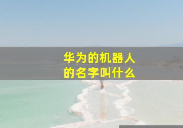 华为的机器人的名字叫什么