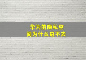 华为的隐私空间为什么进不去