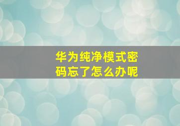 华为纯净模式密码忘了怎么办呢