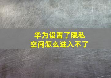 华为设置了隐私空间怎么进入不了