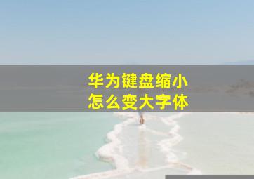 华为键盘缩小怎么变大字体