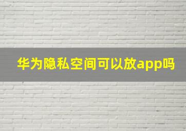 华为隐私空间可以放app吗