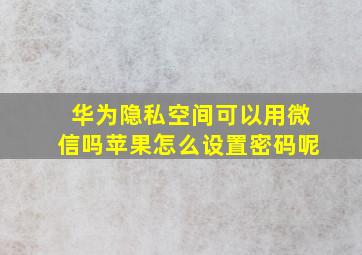 华为隐私空间可以用微信吗苹果怎么设置密码呢