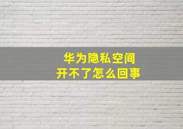 华为隐私空间开不了怎么回事