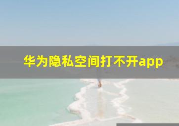 华为隐私空间打不开app