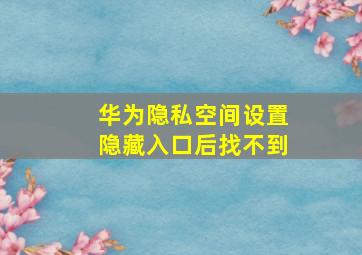 华为隐私空间设置隐藏入口后找不到