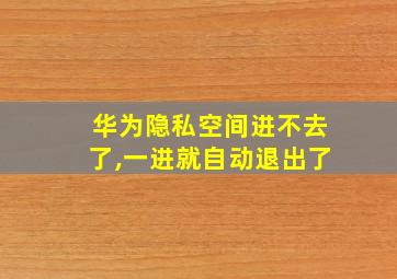 华为隐私空间进不去了,一进就自动退出了