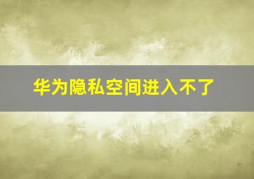 华为隐私空间进入不了