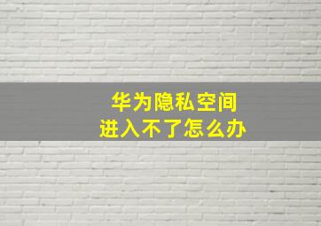 华为隐私空间进入不了怎么办