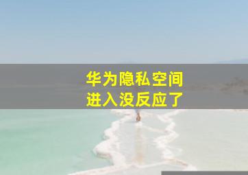 华为隐私空间进入没反应了