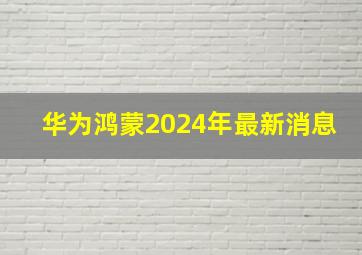 华为鸿蒙2024年最新消息