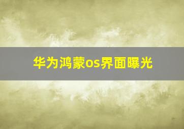 华为鸿蒙os界面曝光