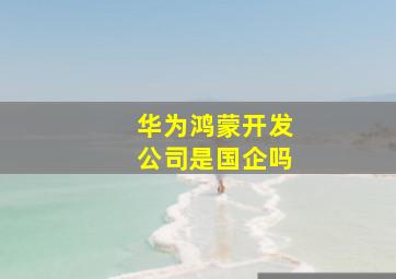 华为鸿蒙开发公司是国企吗