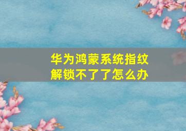 华为鸿蒙系统指纹解锁不了了怎么办