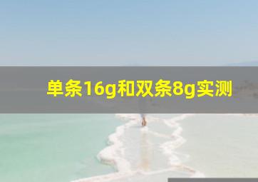 单条16g和双条8g实测