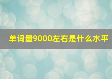 单词量9000左右是什么水平