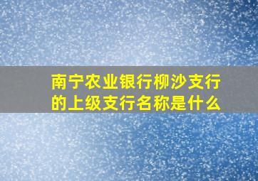 南宁农业银行柳沙支行的上级支行名称是什么