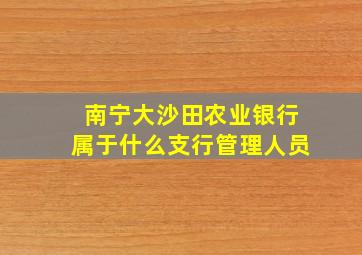 南宁大沙田农业银行属于什么支行管理人员