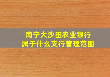 南宁大沙田农业银行属于什么支行管理范围