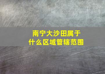 南宁大沙田属于什么区域管辖范围