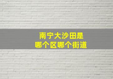 南宁大沙田是哪个区哪个街道