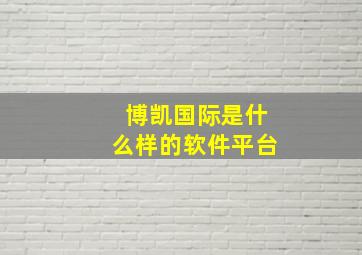 博凯国际是什么样的软件平台