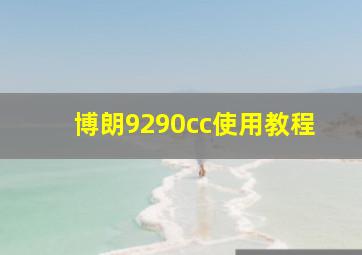 博朗9290cc使用教程