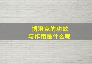 博洛克的功效与作用是什么呢