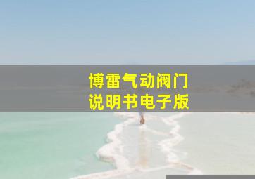 博雷气动阀门说明书电子版