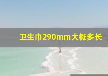 卫生巾290mm大概多长