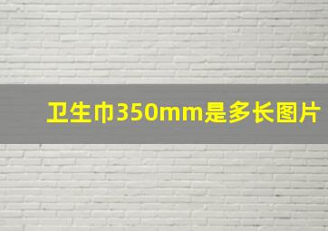 卫生巾350mm是多长图片