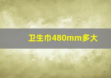 卫生巾480mm多大