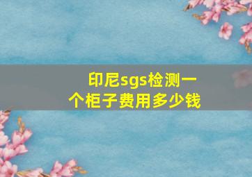 印尼sgs检测一个柜子费用多少钱