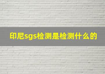 印尼sgs检测是检测什么的