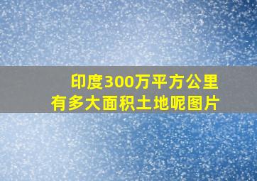 印度300万平方公里有多大面积土地呢图片