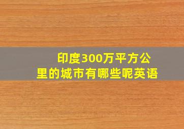 印度300万平方公里的城市有哪些呢英语