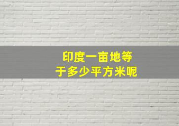 印度一亩地等于多少平方米呢