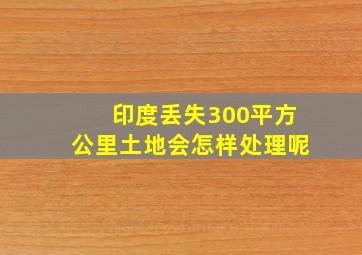 印度丢失300平方公里土地会怎样处理呢