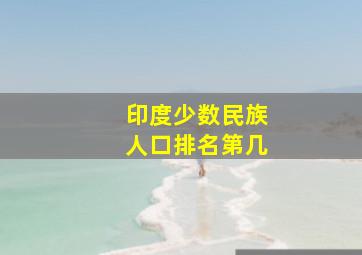 印度少数民族人口排名第几