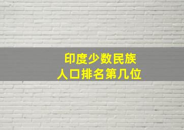 印度少数民族人口排名第几位